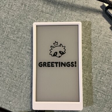 an image of the M5 paper with my custom boot image of a raccoon saying Greetings